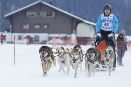 Studen 2014